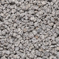 Dapple Grey