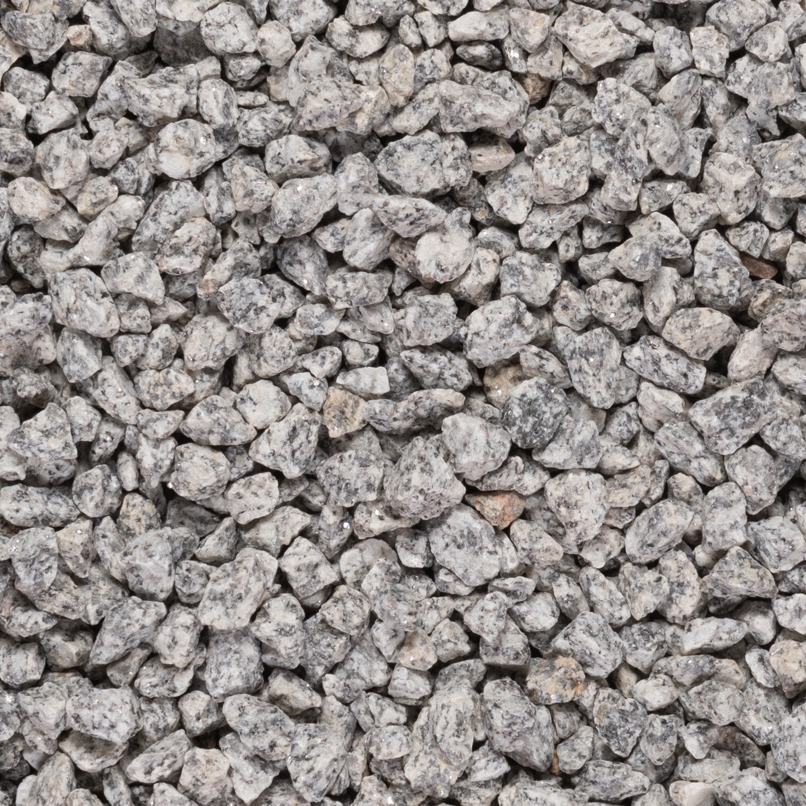 Dapple Grey