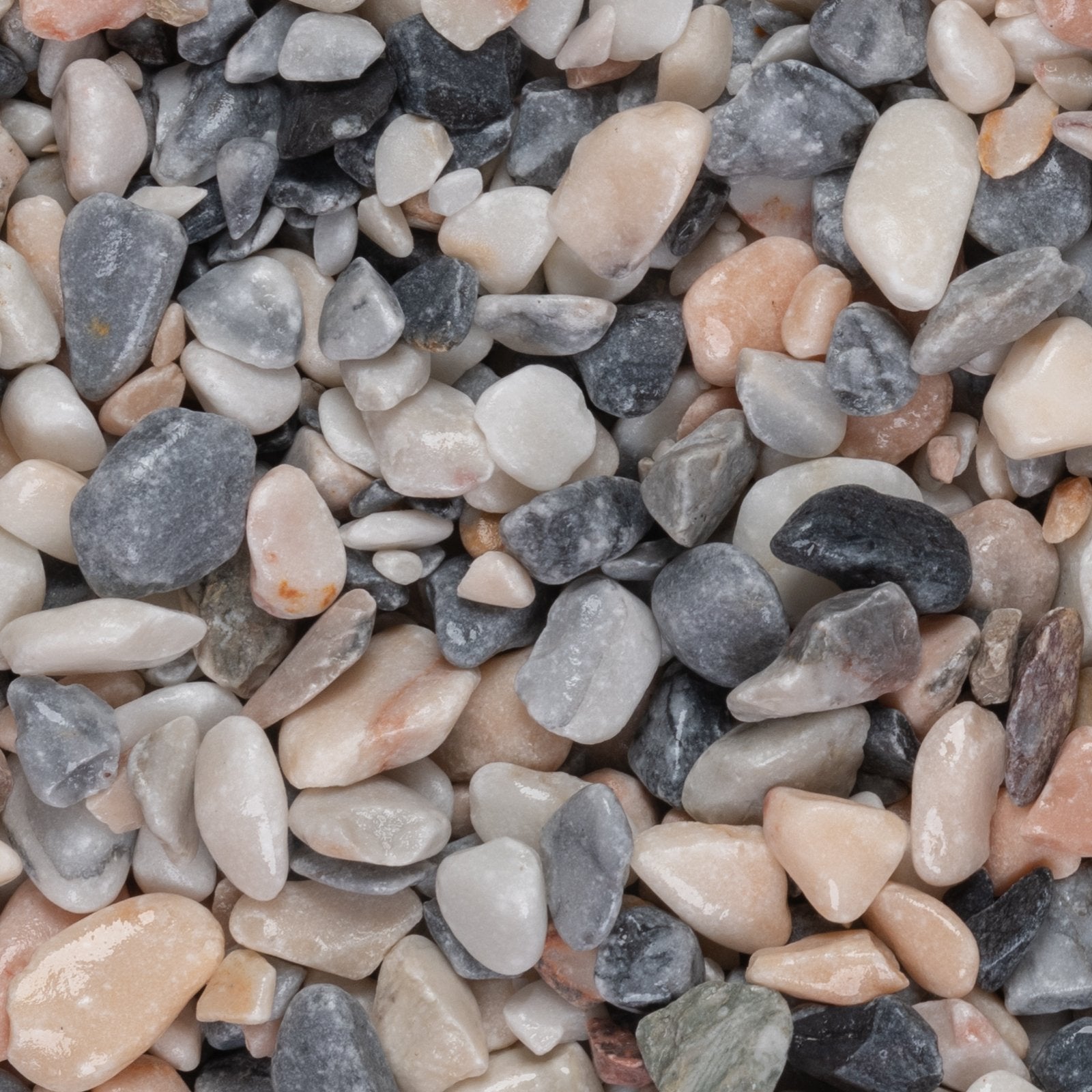 Flamingo Pebbles