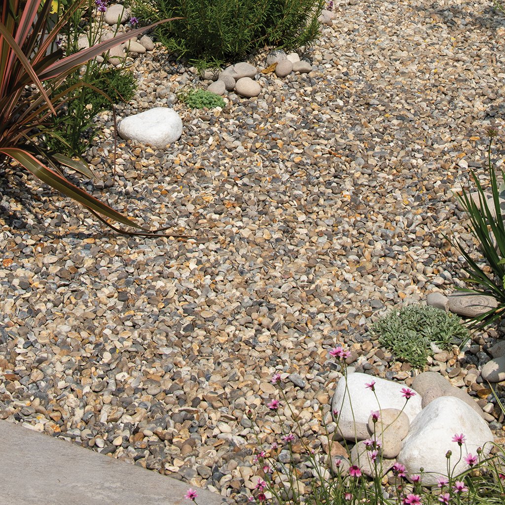 Oyster Pebbles 20mm