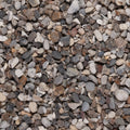 Oyster Pebbles 20mm