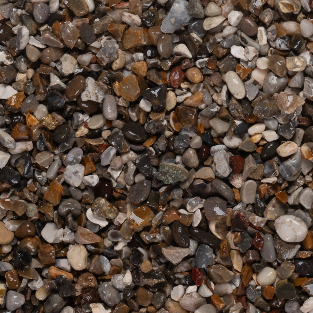 Oyster Pebbles 20mm