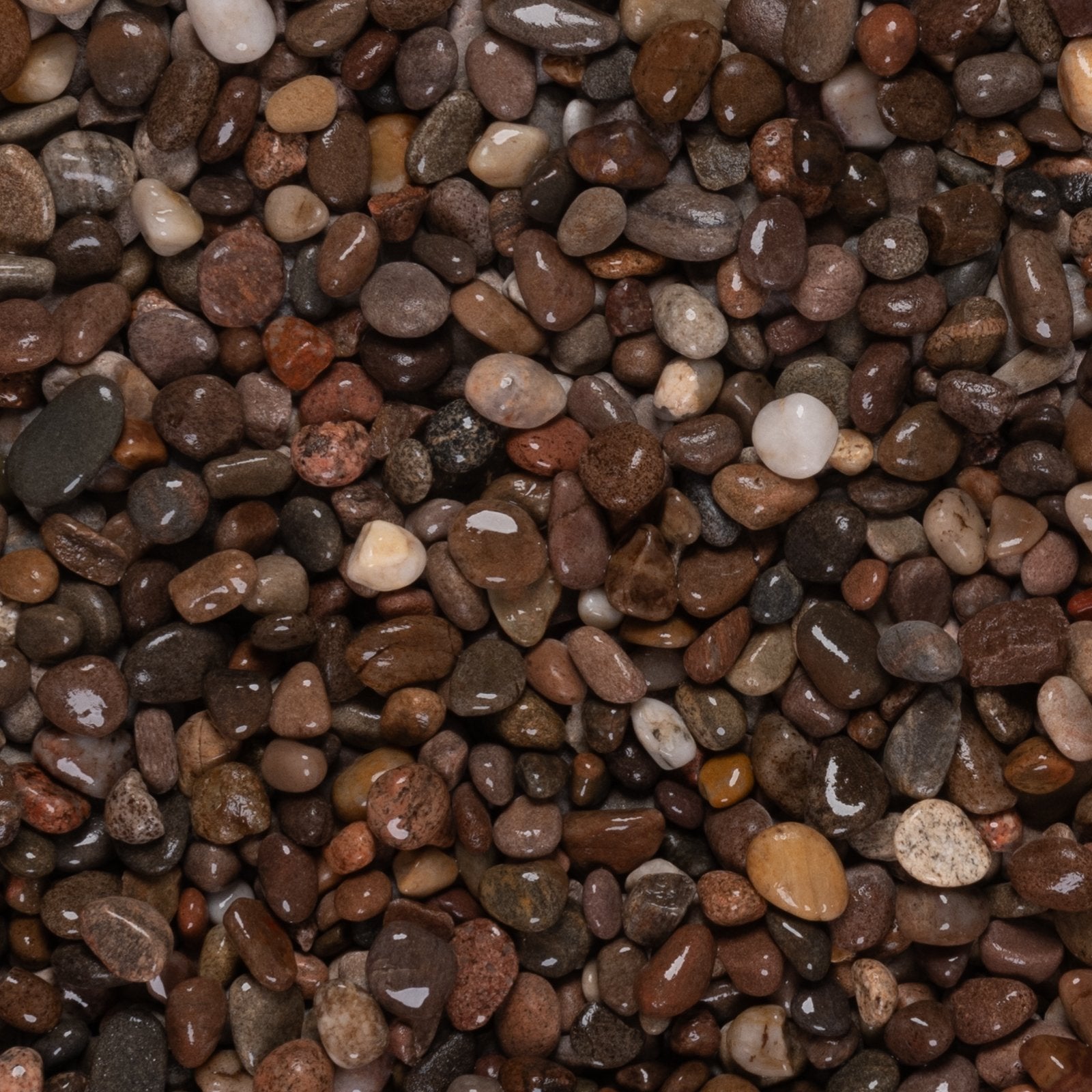 Scottish Pebbles 14-20mm