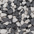 Zebra Pebbles
