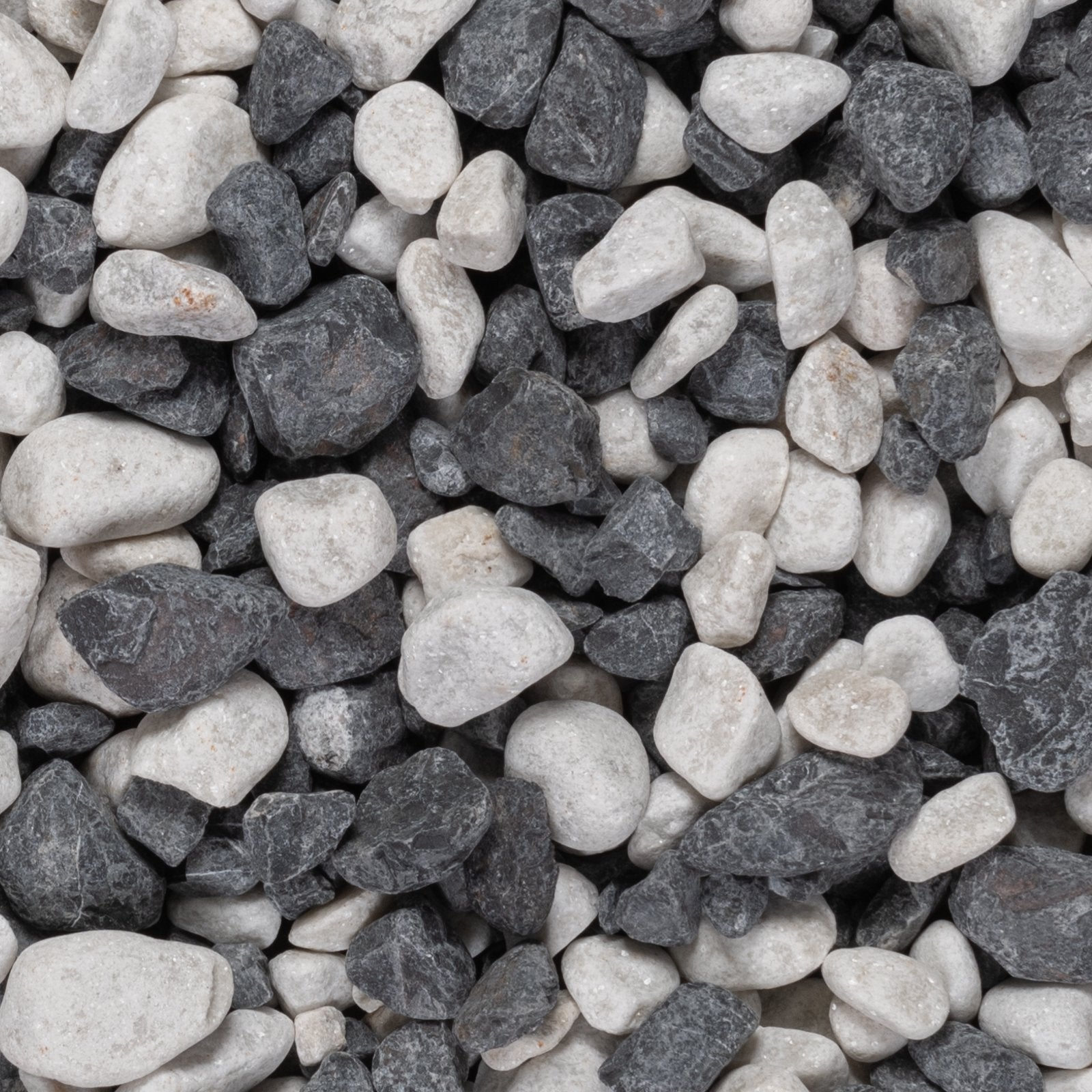 Zebra Pebbles