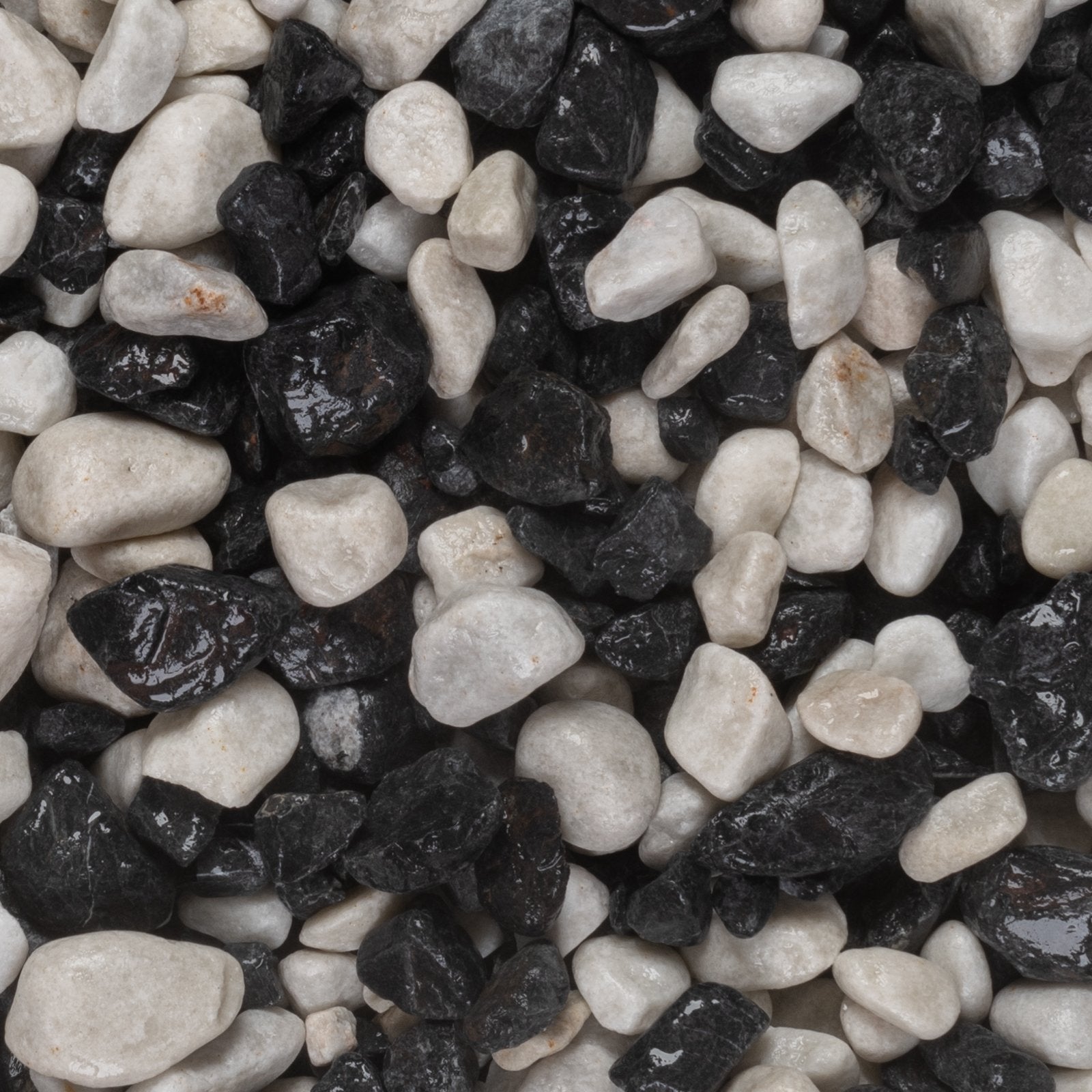 Zebra Pebbles