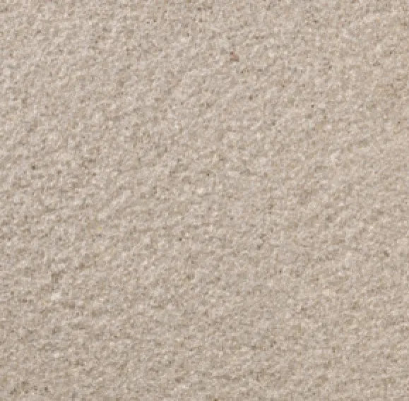 Textured Concrete Paving